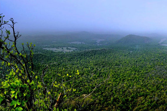 about bandhavgarh