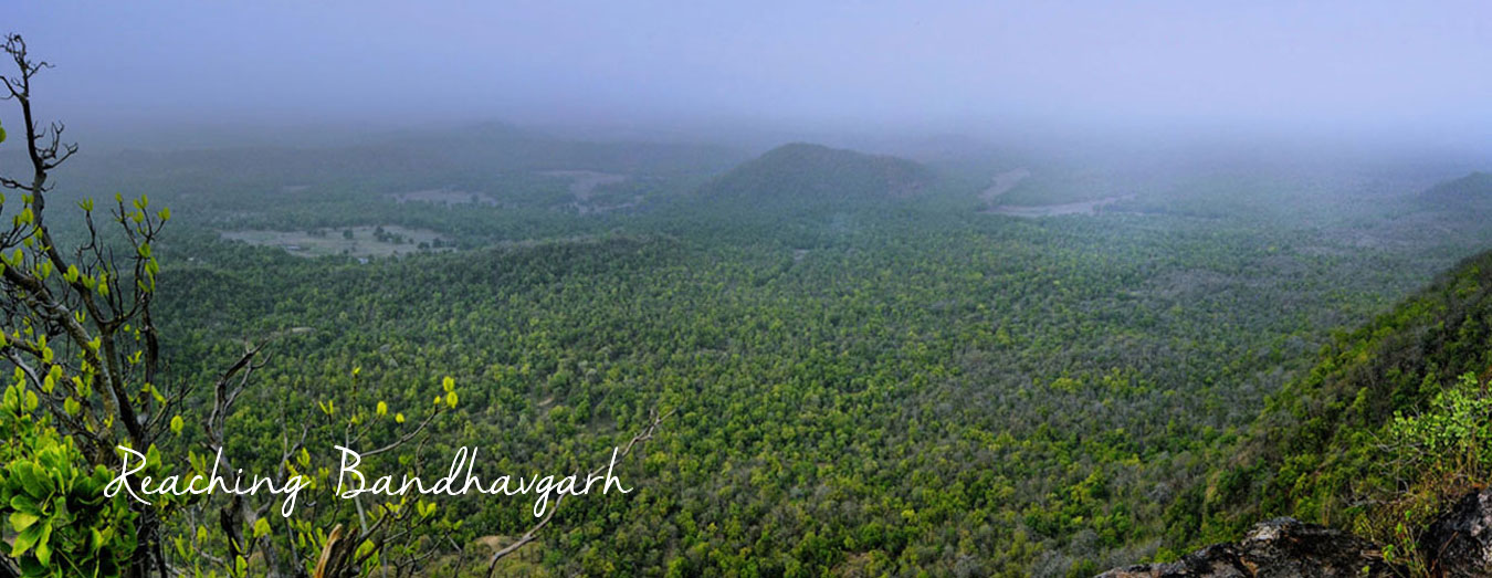 reaching bandhavgarh