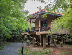 the lodge